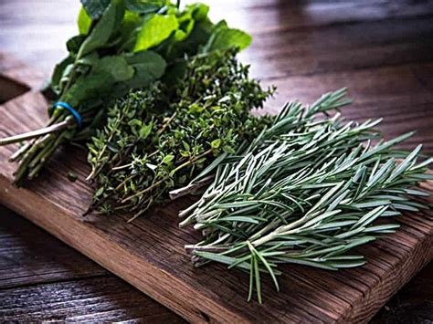 pampaswerte sa sugal|ANG 16 SACRED HERBS PARA SA KASAGANAHAN, .